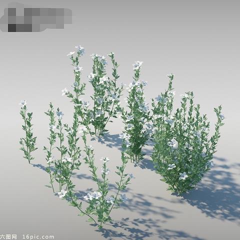 2021端午节发朋友圈的说说文案合集95句
