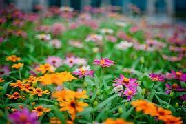 2021谷雨时节唯美祝福语句子汇总68句