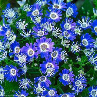 2021情人节暖心祝福语录文案