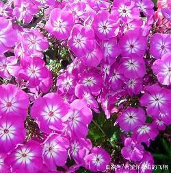 英语用于信件中开头问好句子27条