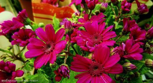 2021大寒微信祝福语文案