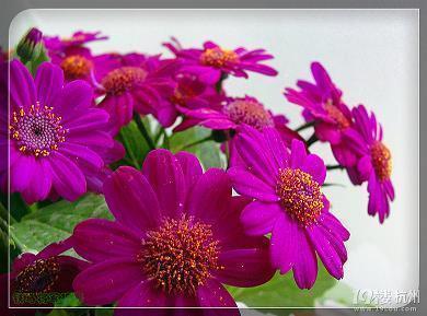 2020年2.14情人节祝福语给老婆