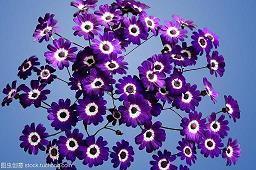 2021退伍军人八一建军节祝福语(精选86条)