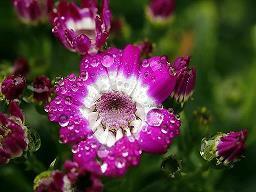 形容世界上没有后悔药的句子