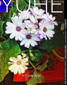 2022元旦节快乐祝福语句子(精选19条)