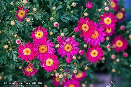 2020老公生日祝福语简短温馨