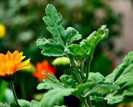 最新12月你好朋友圈文案(精选103句)