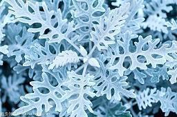 2020教师节家长祝福语