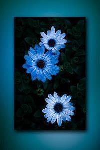 对地方失望的句子