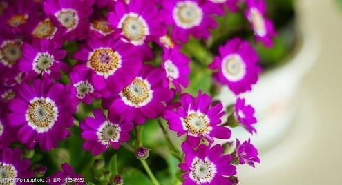 关于爱情的句子唯美