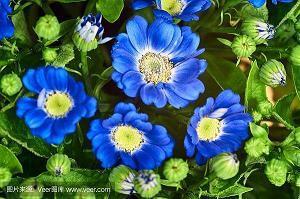 2021祝福自己的话