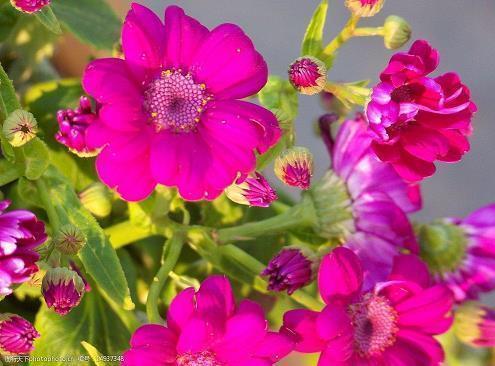 姐弟情深血浓于水的亲情句子锦集28句