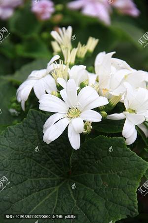 对自己的老公很失望的句子