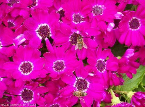 2021清明节的简单的问候语文案