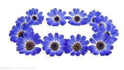 好句摘抄大全小学三年级15字左右(精选34句)