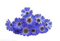 最近微信很火的爱情说说大全