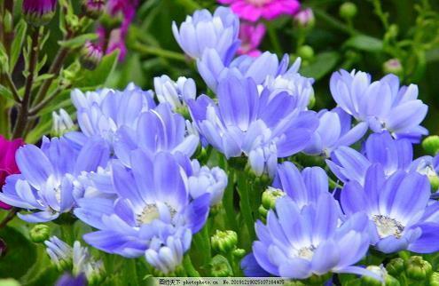 2021母亲节微信暖心的祝福语