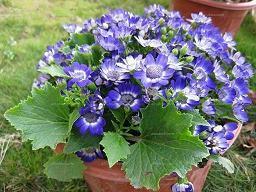 天气降温的暖心句子