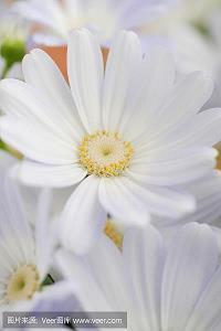 微信朋友圈心好累的爱情说说17句