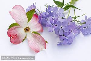 问候客户的轻松周末经典优美句子
