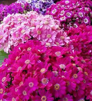 早上奋斗正能量的短句子锦集29句