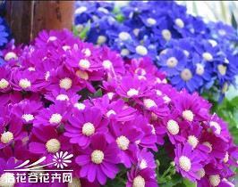 冷暴力的句子 关于冷暴力的个性说说(精选15句)