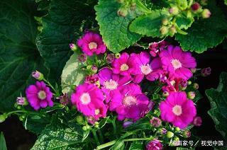 早安暖心话短句发朋友圈(精选36句)