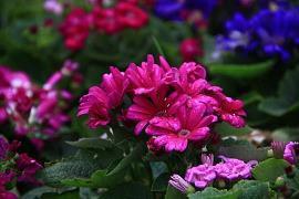 有趣朋友圈简短文案