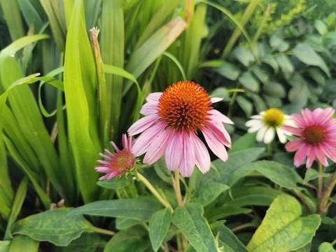 七夕送给年纪大男人的句子(精选23句)