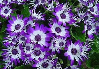 对爱的人失望到绝望的句子