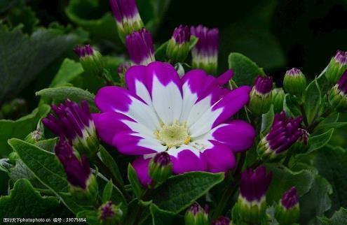 早上发朋友圈的说说13句