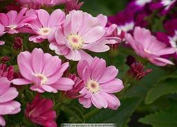 2021六一祝福孩子的话简短老师汇编66句