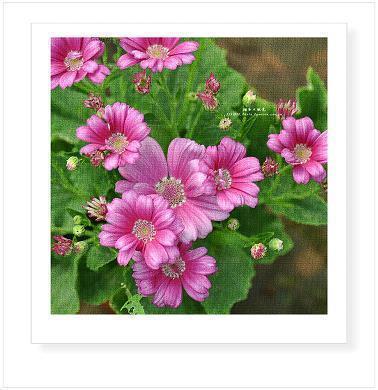 一个人的日子经典句子