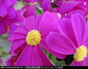 2021年牛年祝福语大全