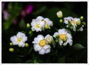 2021年新年祝福文字