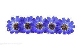 对那个人很失望的句子