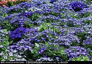 2021年中秋节祝福语发朋友圈(精选55条)