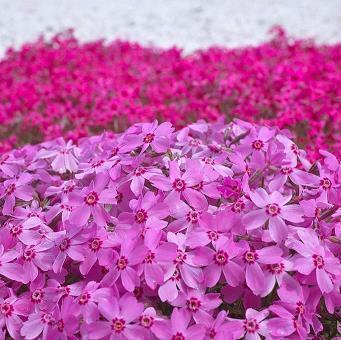 陷入僵局
