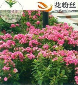 空气环保标语