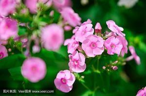 圣诞节2020温暖祝福语朋友圈说说