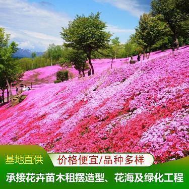 鄂端