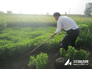 适合五一发说说大全简短好听 2020年五一小长假心情短语