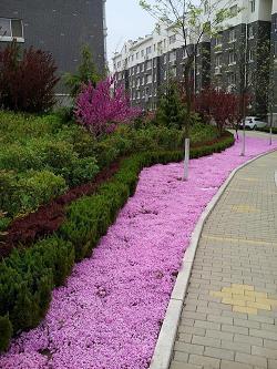 众口交荐