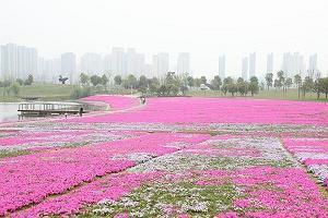 称功颂德