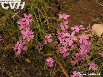 与人方便与己方便