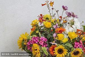 颊腮