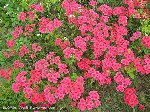 仿写春天的句子及答案26条