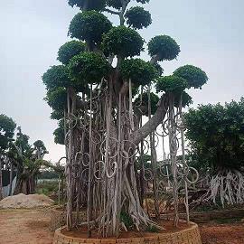 奥林匹克运动会的格言 奥林匹克运动会著名的格言