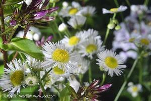 六一儿童节祝福语简短唯美2021年推荐78句