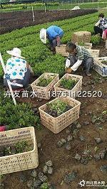 关于时间格言 珍惜时间的名言100条